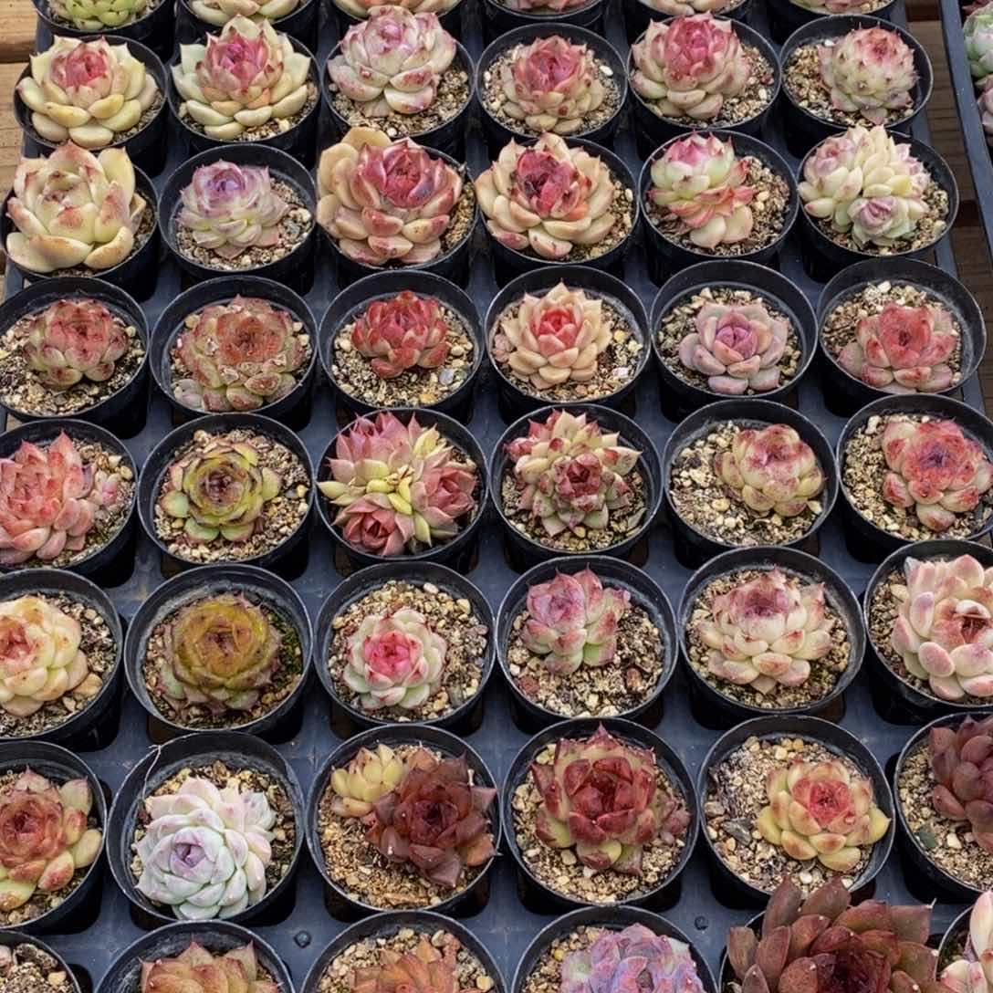 415的人在一起的时候就