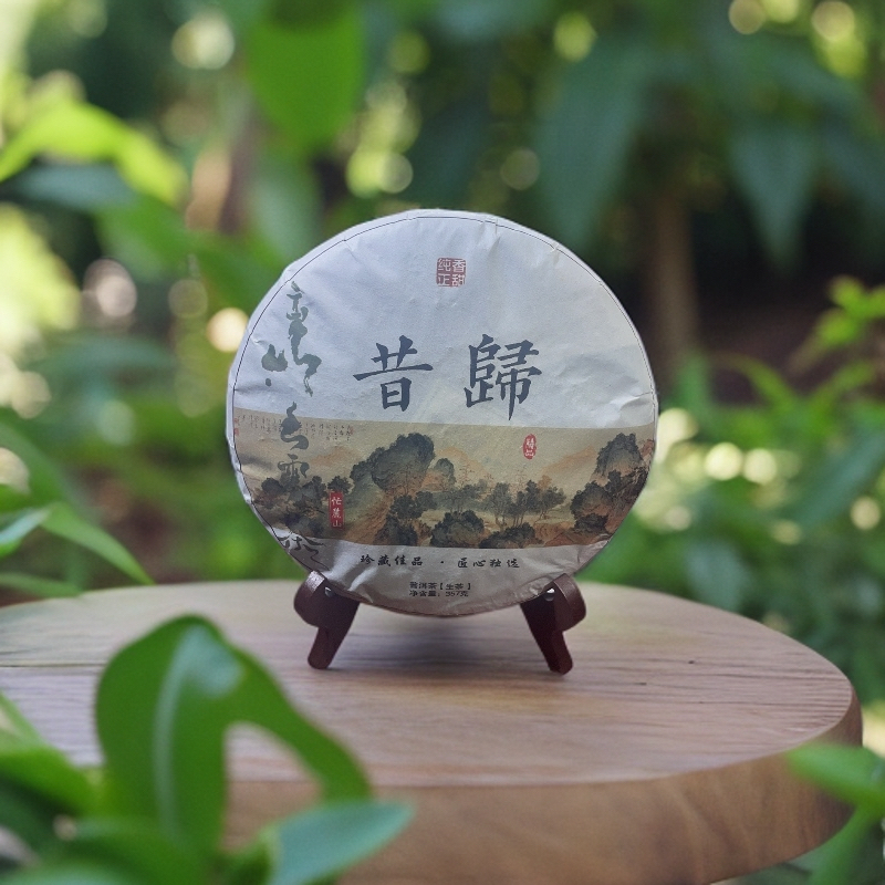 福利品【昔归忙麓山】24年昔归核心区古树头春茶饼357克(高香高甜
