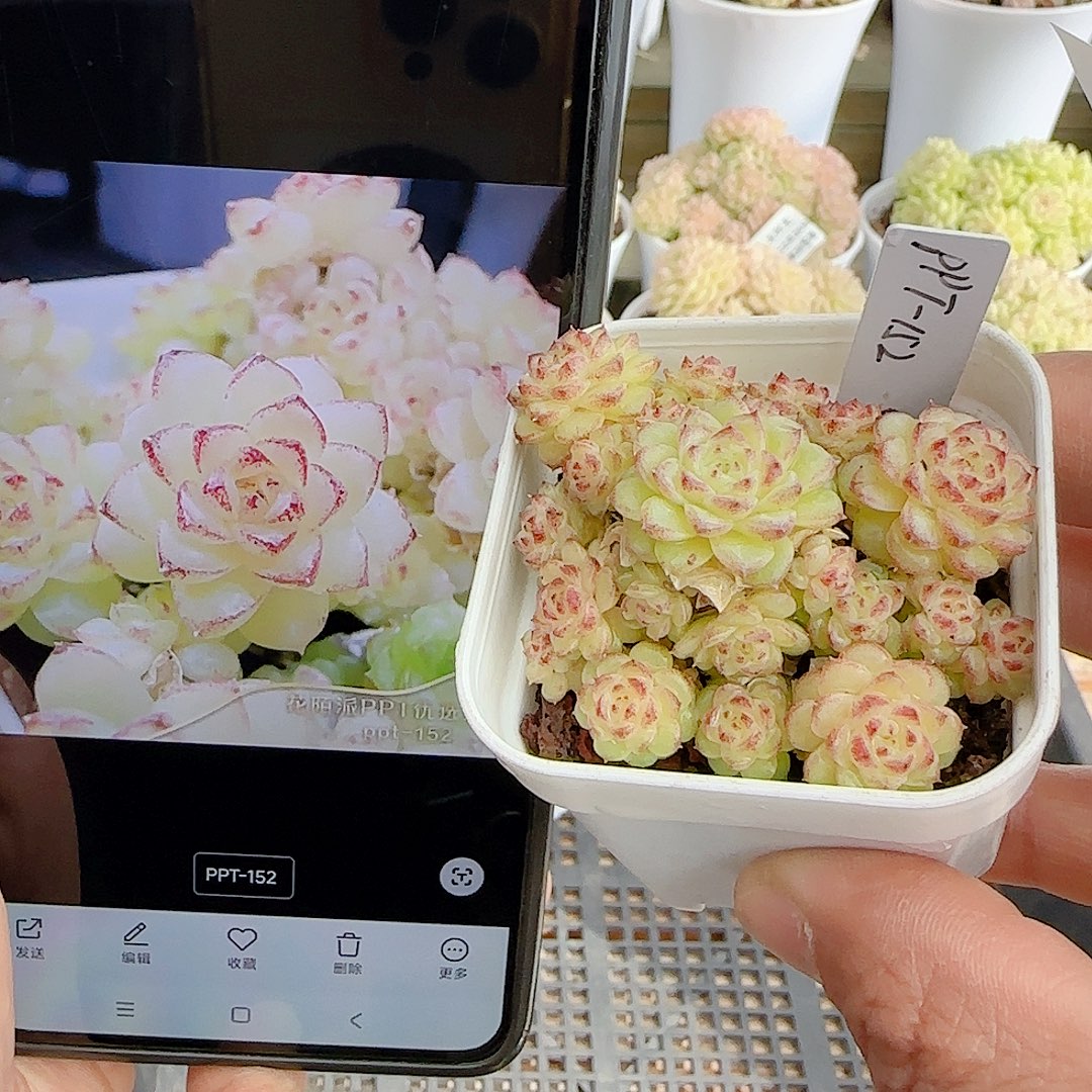 1224-95（ppt-152）优选