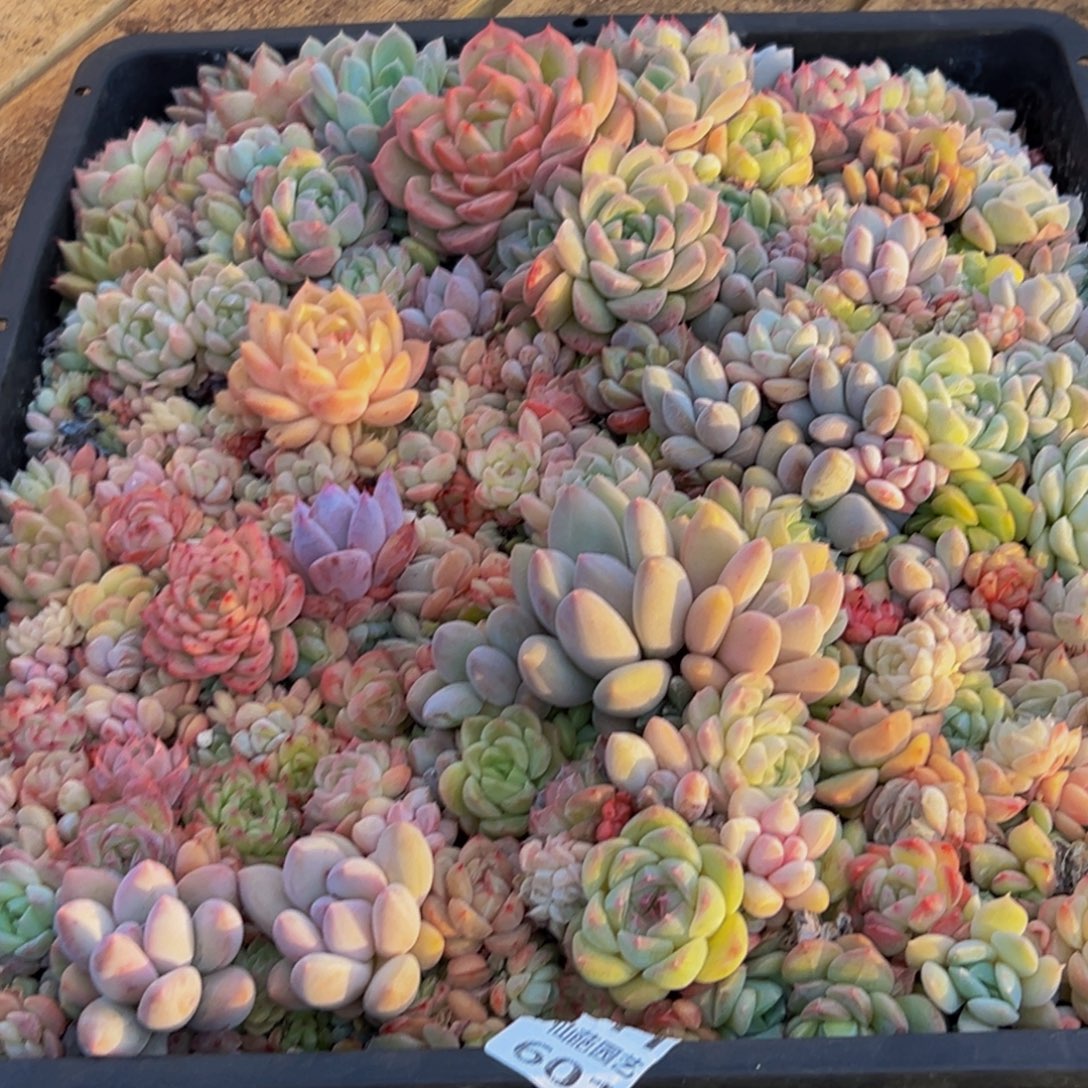 601大热天的一天从早上开始