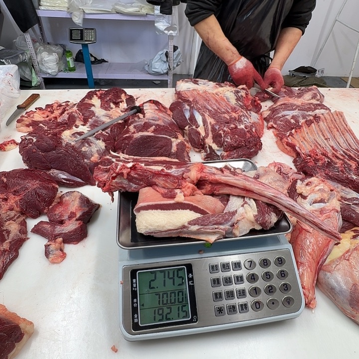 红***雷12个月中国大陆尾巴肋条