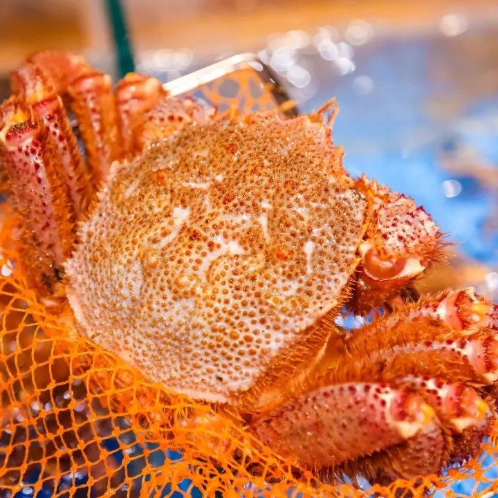 现称现拍（一单一拍）