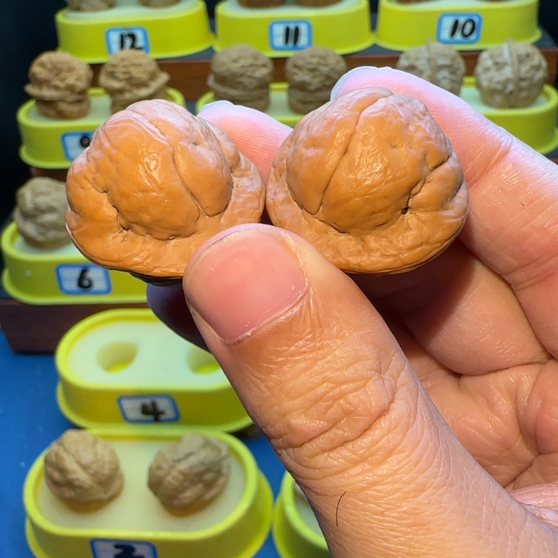 ****桃核把件金刚鹦蟾