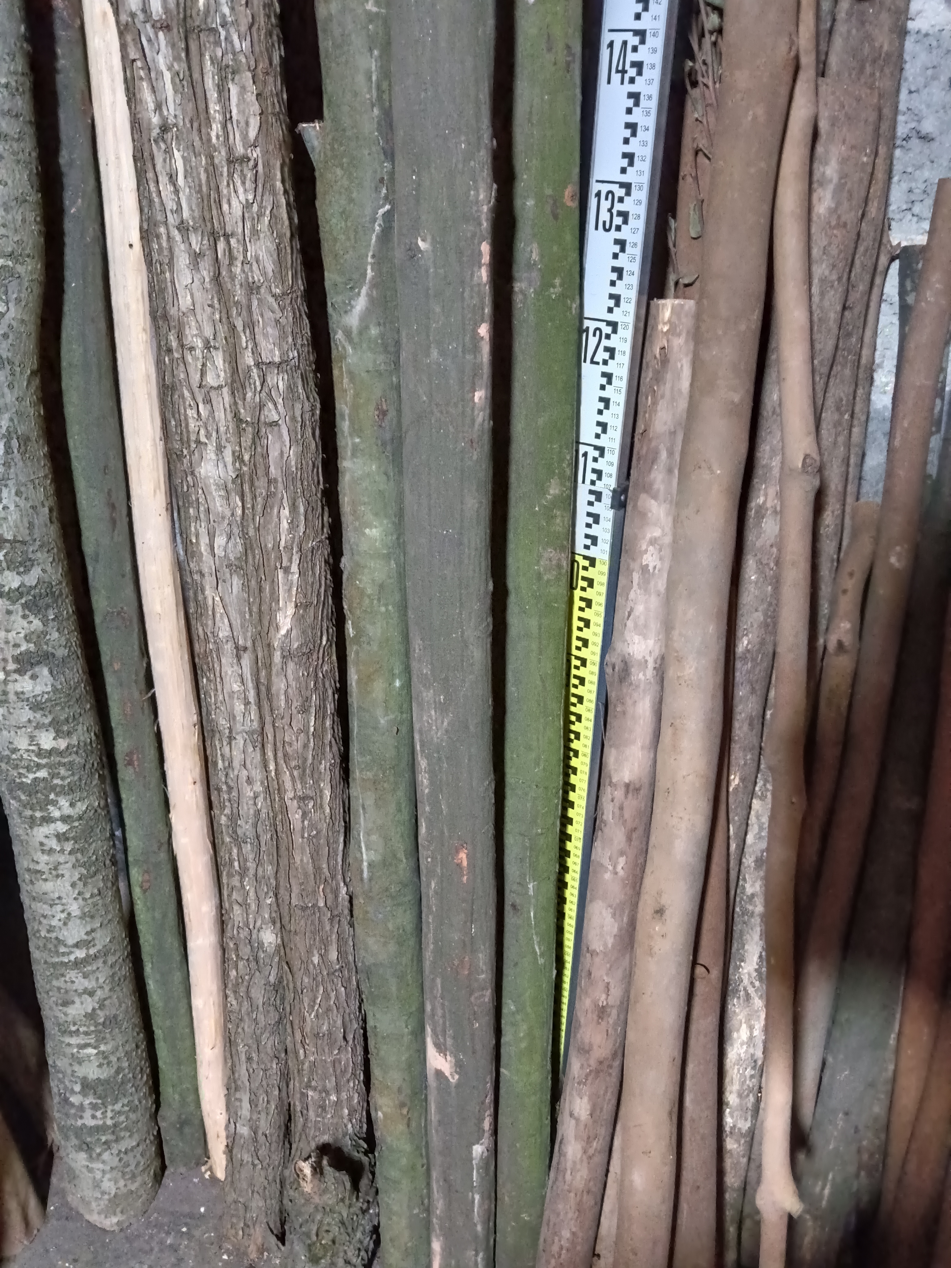 各种原木的毛料，，直播间定向链接，一物一拍。不退不换。看好再拍。