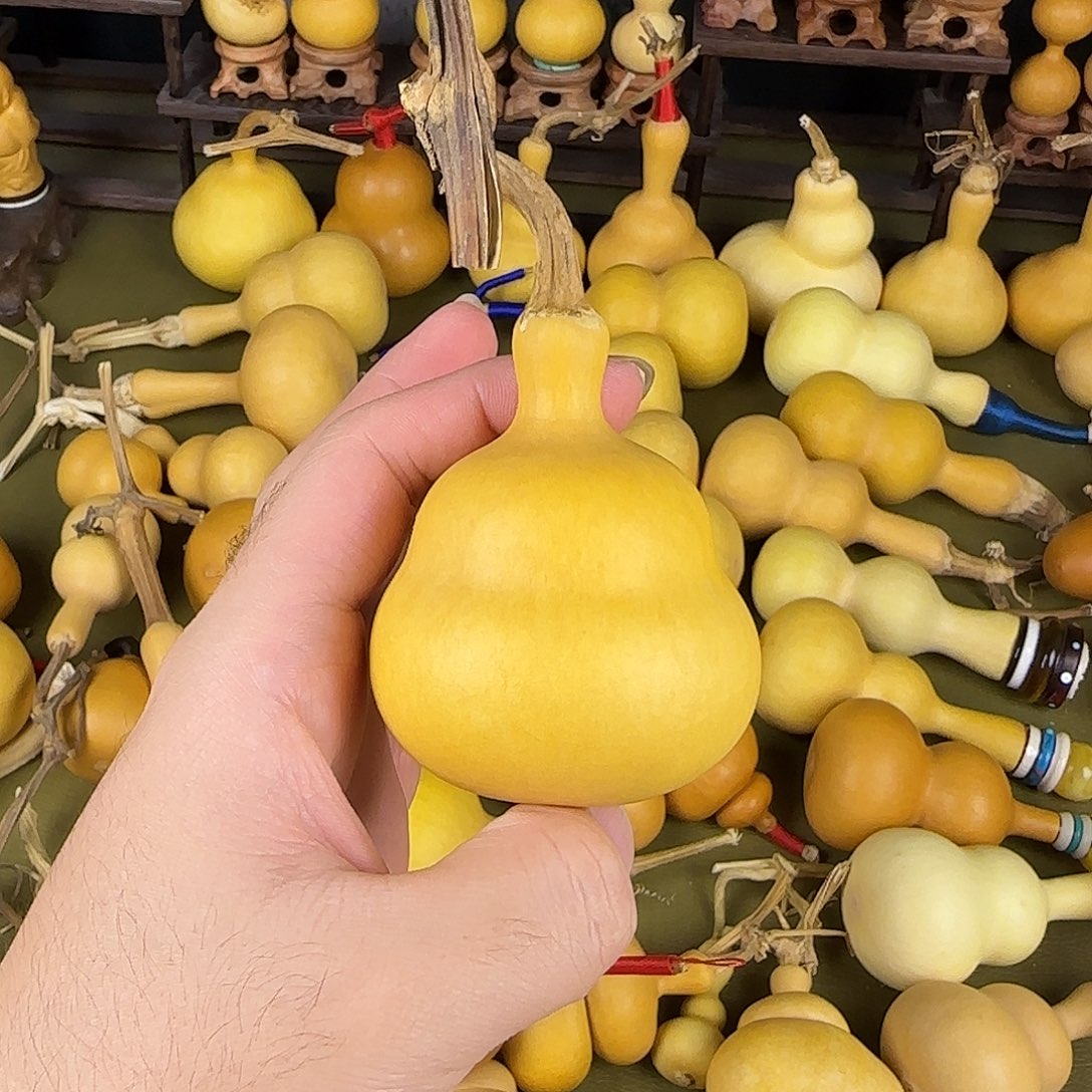 顺****顺ehshshshssbwhwhshwh