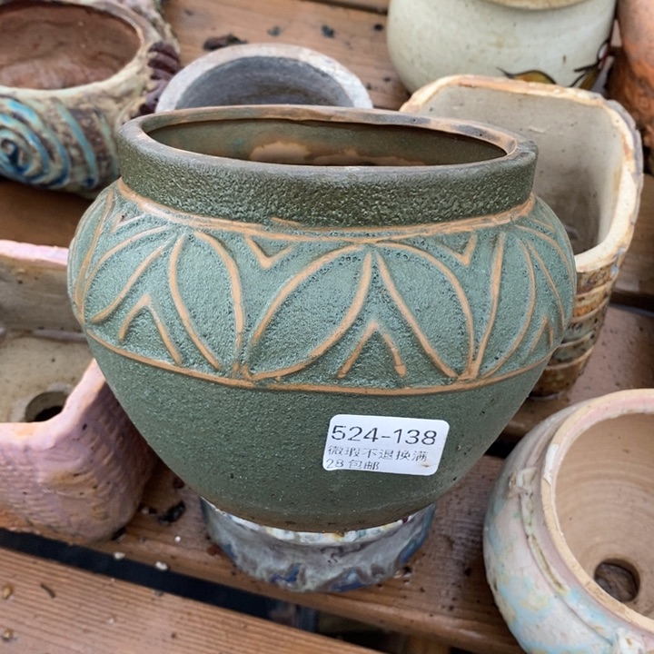 138号多肉盆一个呀