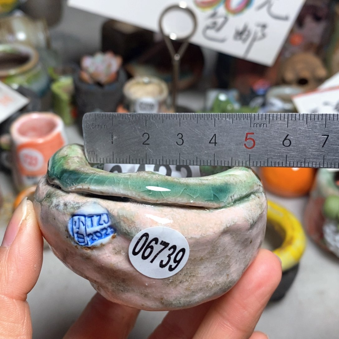 拍3送一个小礼物花盆