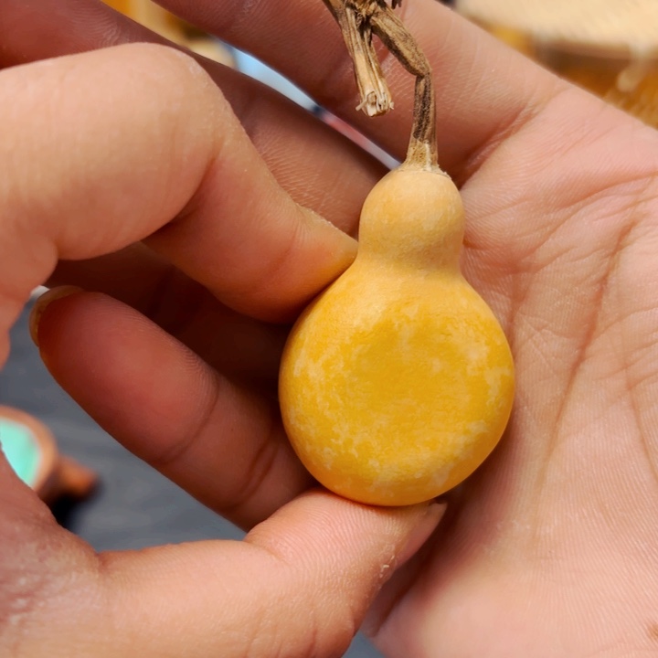 豆*喵8888888888888888889