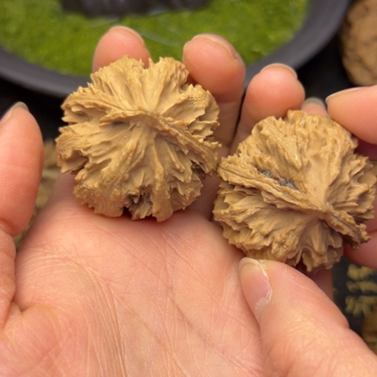 文玩核桃把件秦岭核桃15