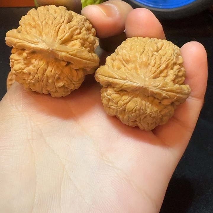 吊坠桃核文玩核桃醒狮36尺寸