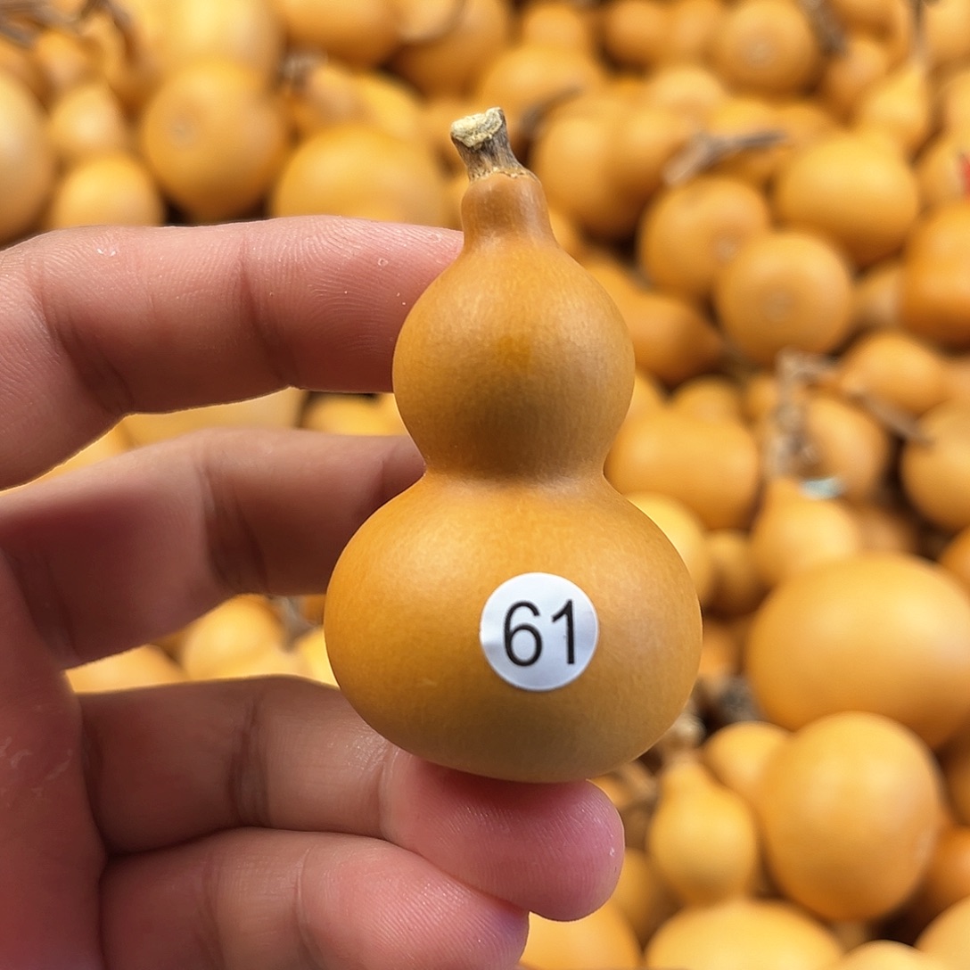 一葫芦葫芦葫芦葫芦61