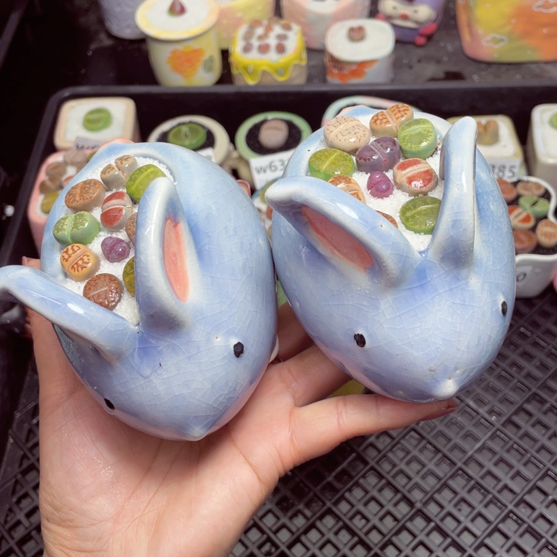 w6395瑕疵-零下地区拍保温箱-15支持寄养