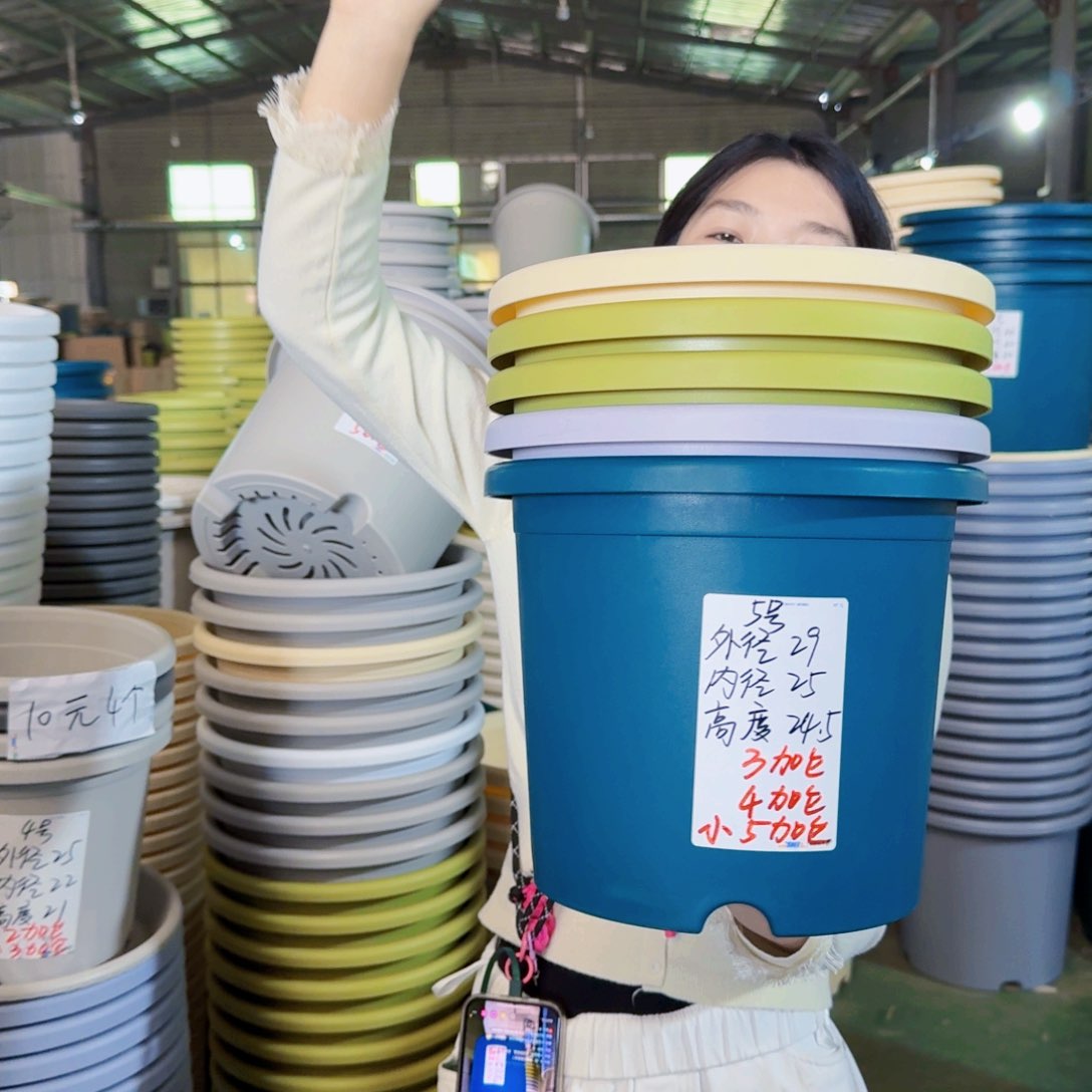 微瑕5#无拖果绿6个