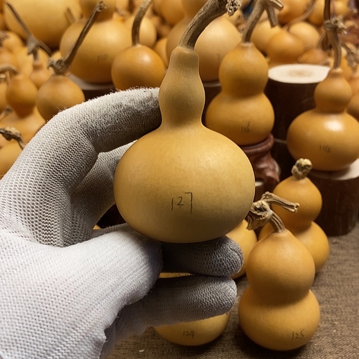 文玩葫芦 完美主义者 慎拍127