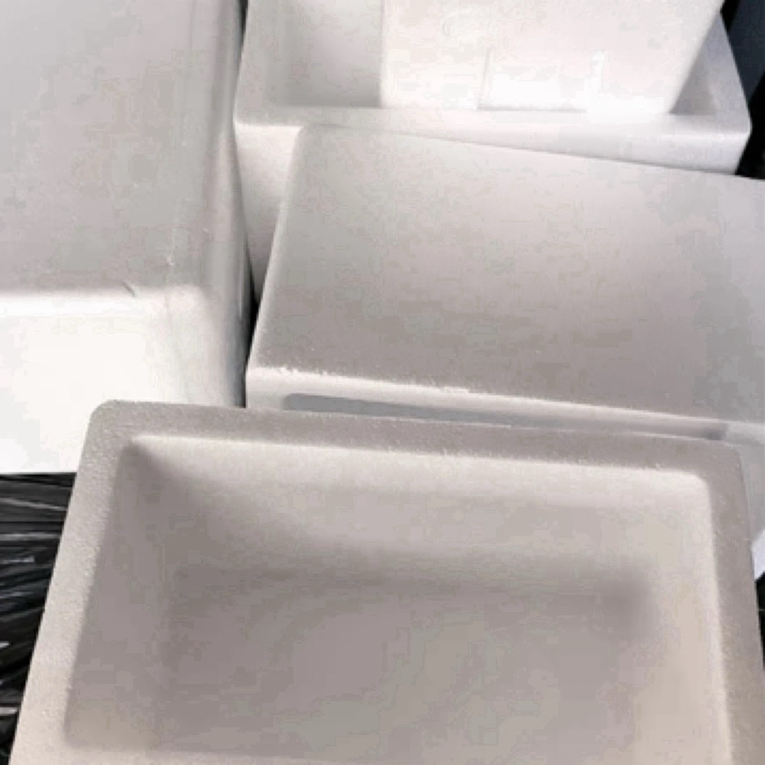 下单必拍15包装运费活体金鱼