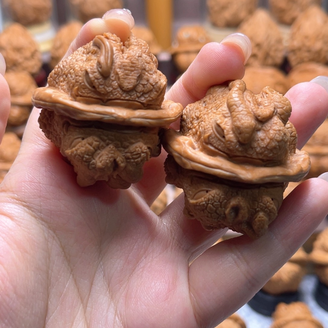 40同尺四面蛇蝉福利