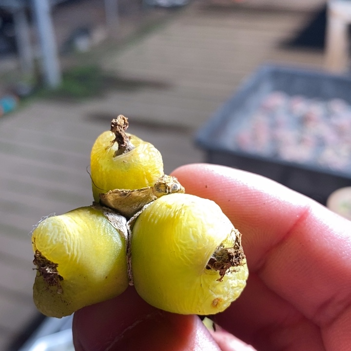 15180一个一个一个