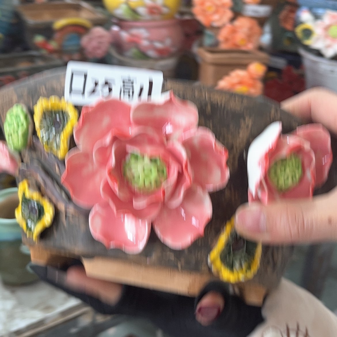 【闪购商品】红陶福利