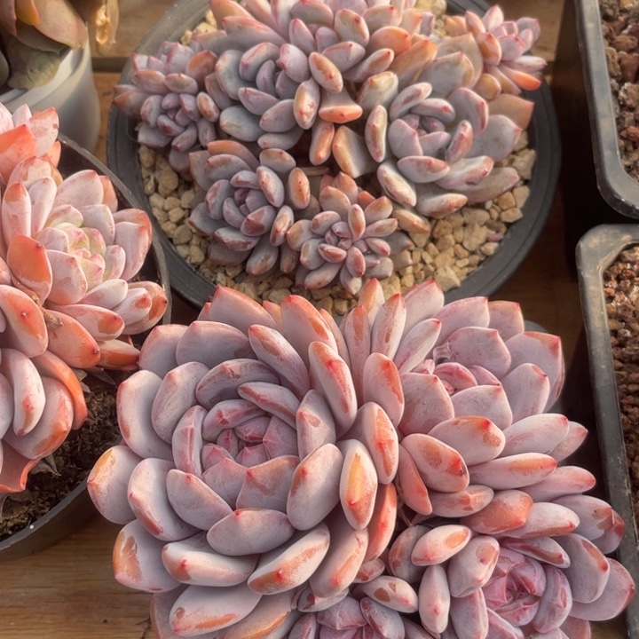 哈哈哈哈哈哈哈哈897