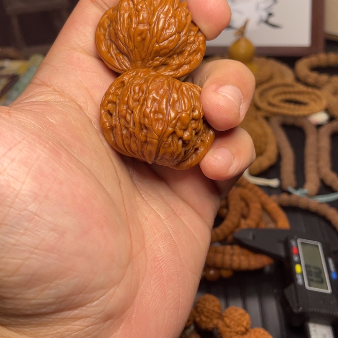 龙脊菩提吊坠山地磨盘核桃一对