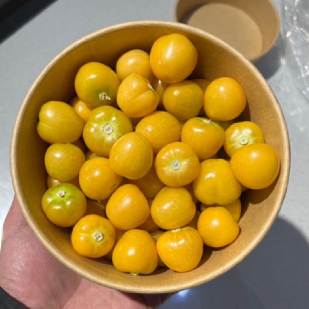 果切黑龙江菇娘 19.8/盒