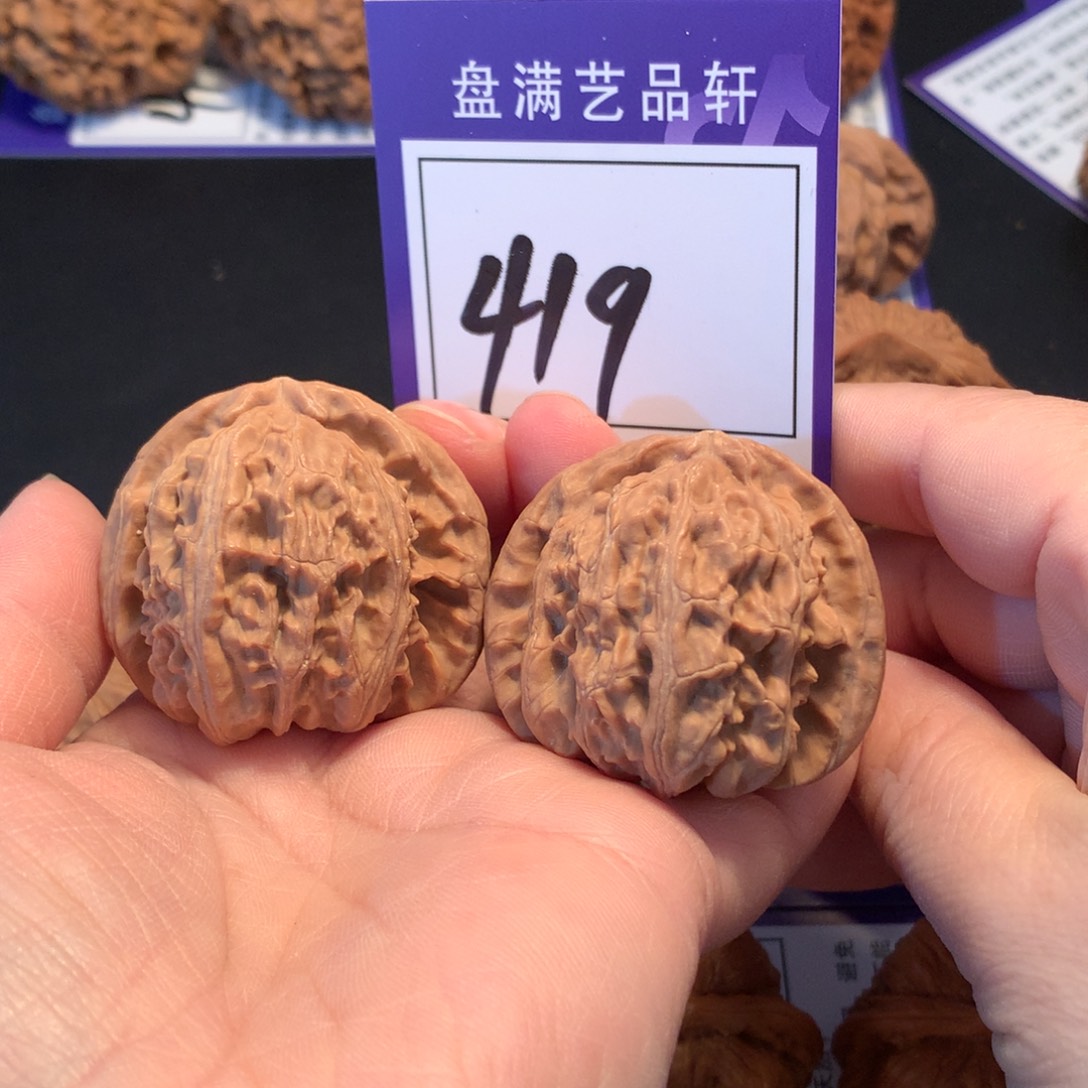 核桃419白狮子4.2