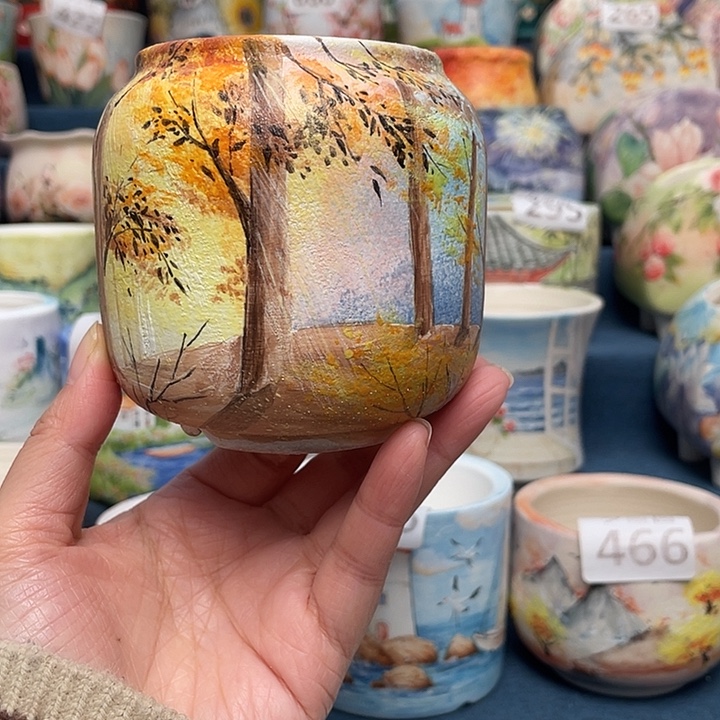 秘境森林颜色很美