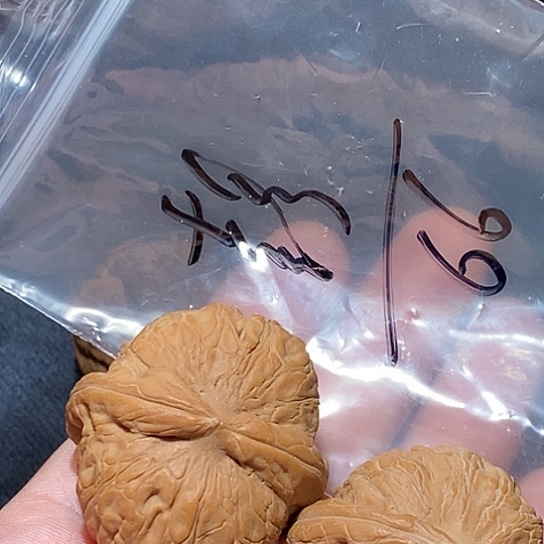 【闪购商品】吊坠文玩核桃中*