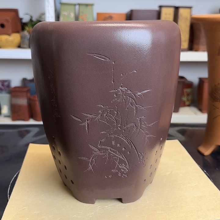 18×24两只六角龙蛋