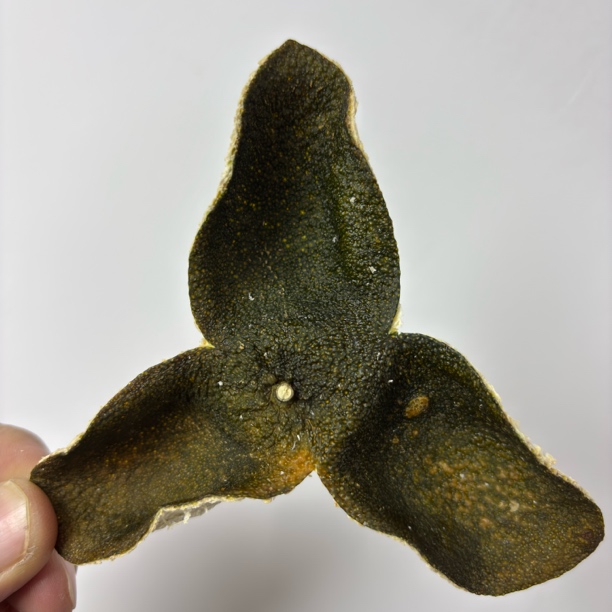 【2025年大青皮】天马大青皮新会陈皮自然生晒自存青柑皮老树皮