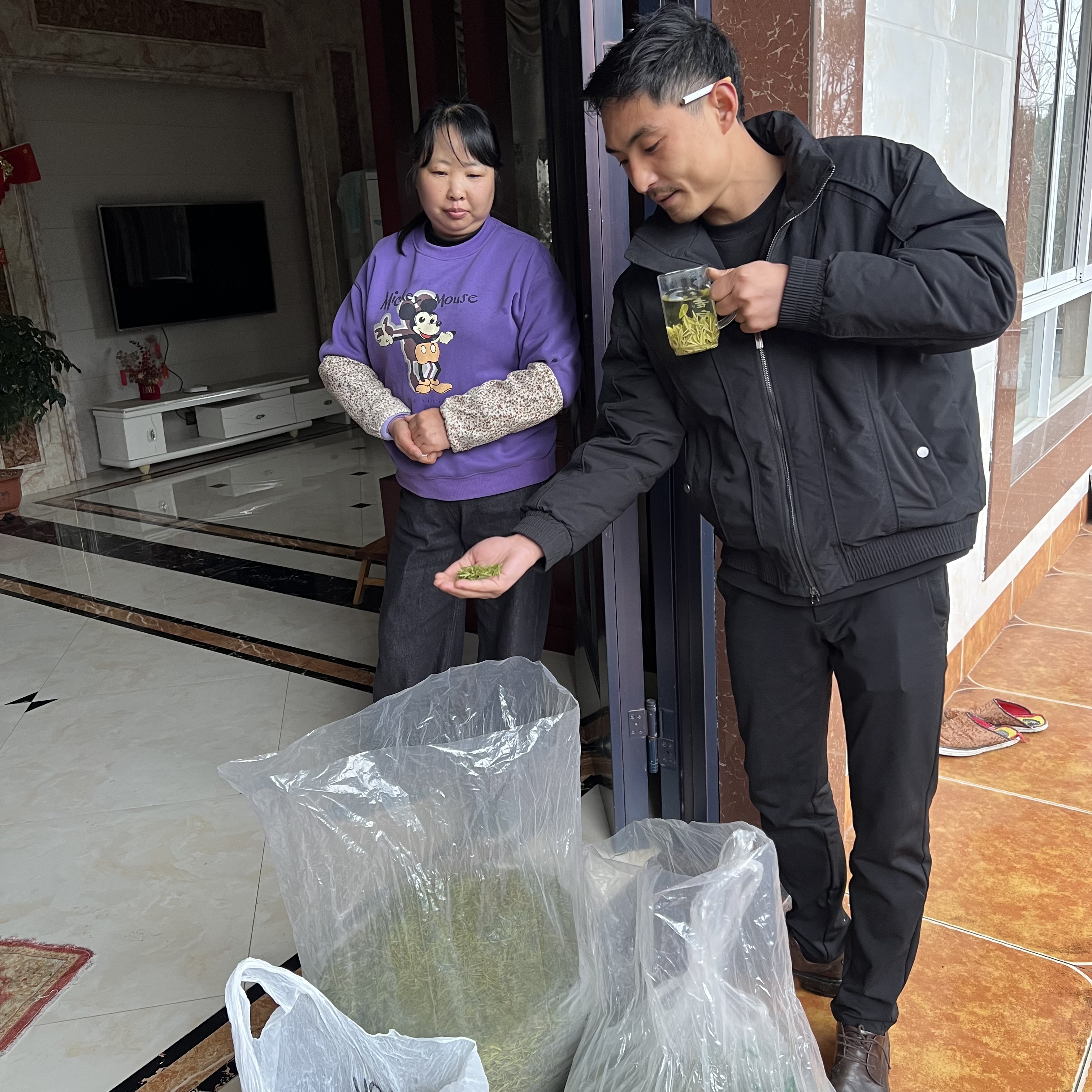 农户头采高山云雾奶白茶 早春头芽 2025年自家茶山 奶香十足