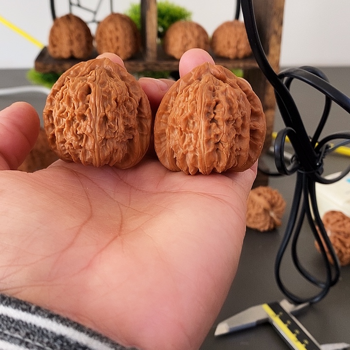 文玩核桃把件角白红皮果骨质巨好