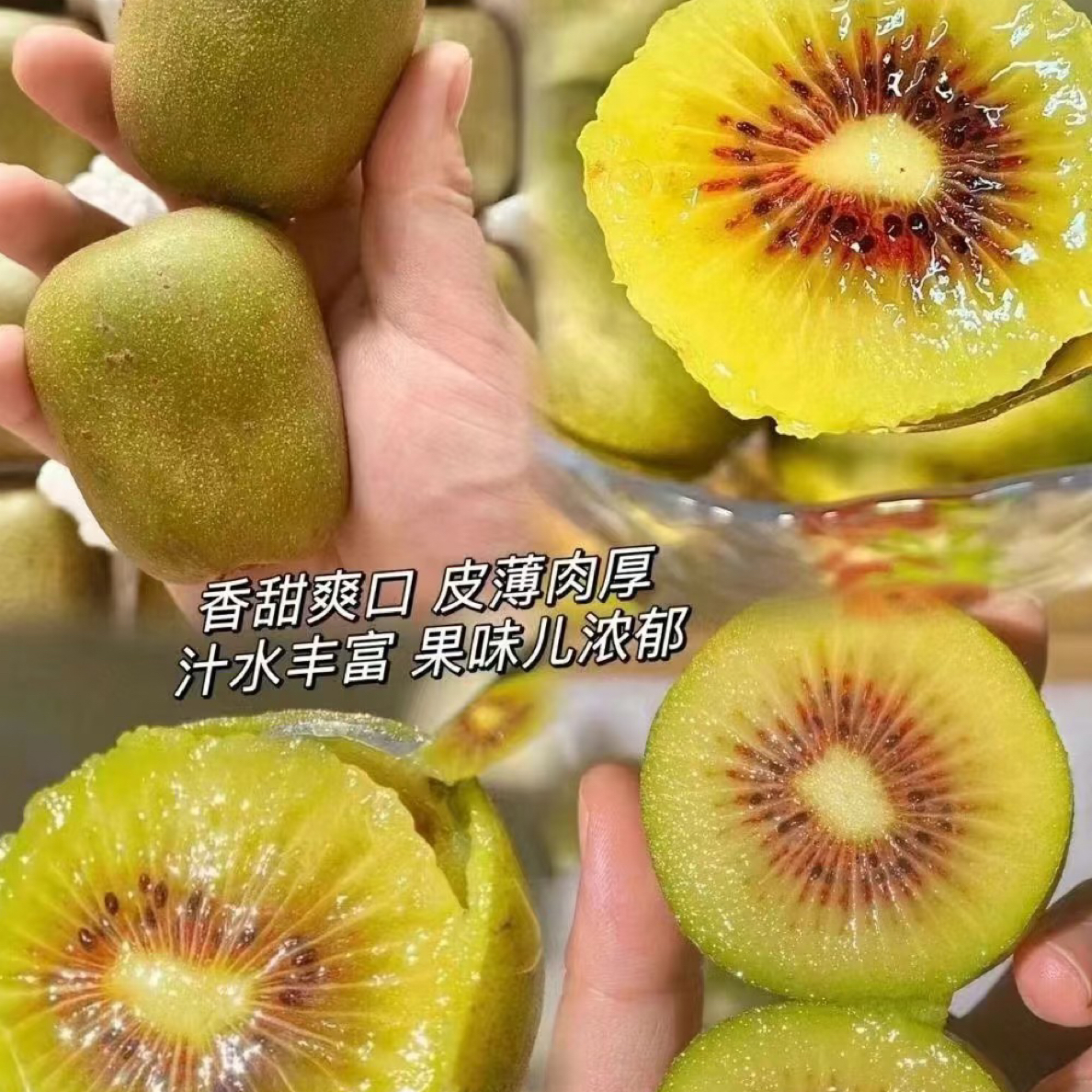 【富贵专属顺丰次日达】红心猕猴桃一盒15枚（小果）包邮到家四川省