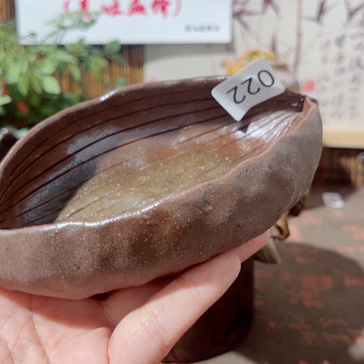 木村信弘柴烧保平