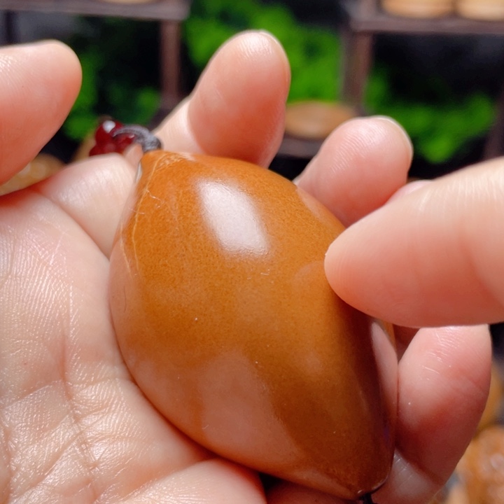 橄榄核手串/手链蝴蝶4.6左右竹环