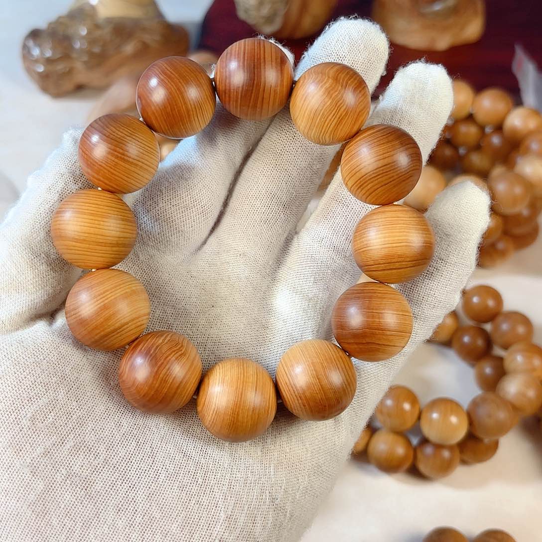 柏木逐**行柏韵太行20逐梦前行70