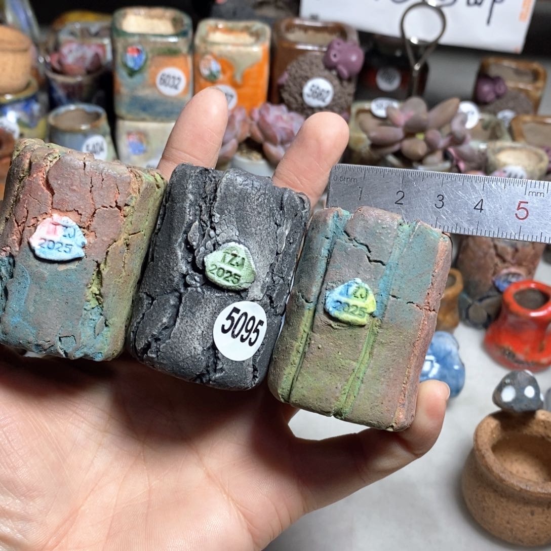 多肉花盆处理的，不退不换