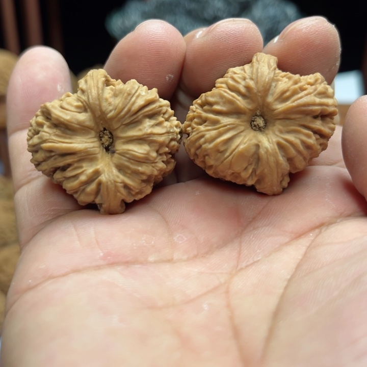 完全开放镇***儿南疆石