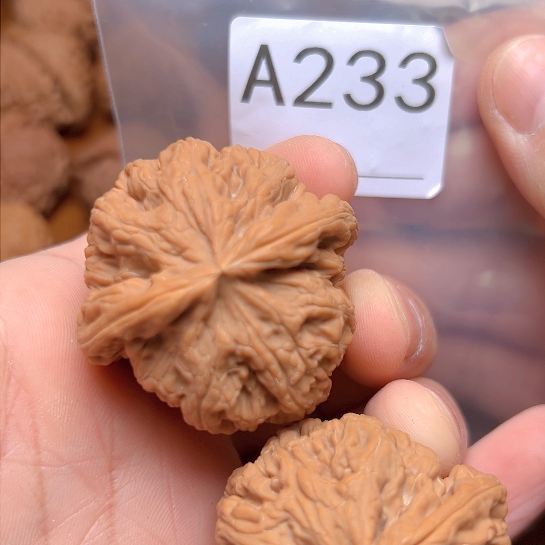 文玩核桃吊坠44大粗筋