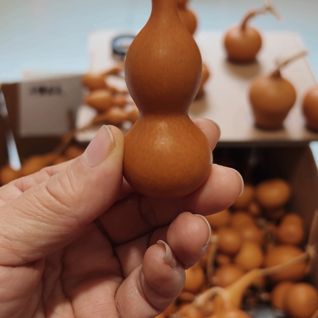 青***司frdgfgfhghghghghhgvvvb