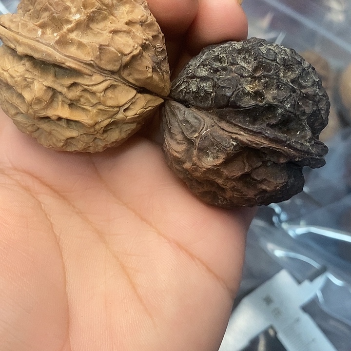 吊坠文玩核桃16号43mm