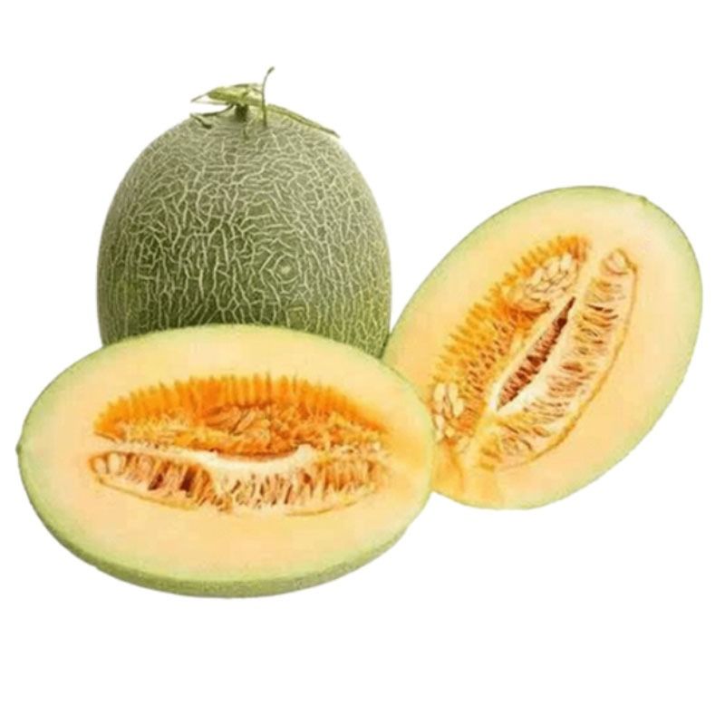 小蜜瓜约1200g-1400g/个