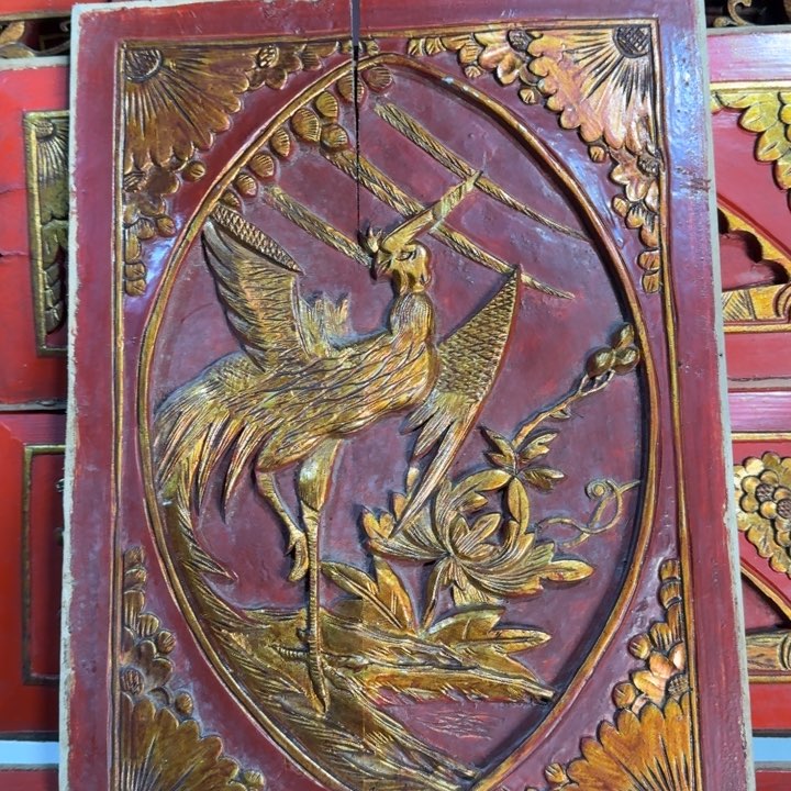 香榧木用****5在干嘛我不去