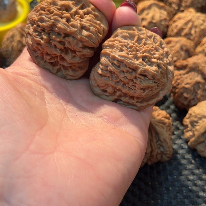 追***伞文玩核桃把件楼子