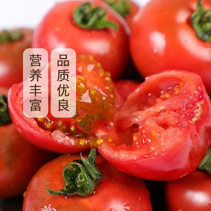 芙洛缇·女神高糖西红柿3斤装，日本原种，口感绝佳，甜度高，糖度可达9.8以上，口感层次分明高糖西红柿北京市