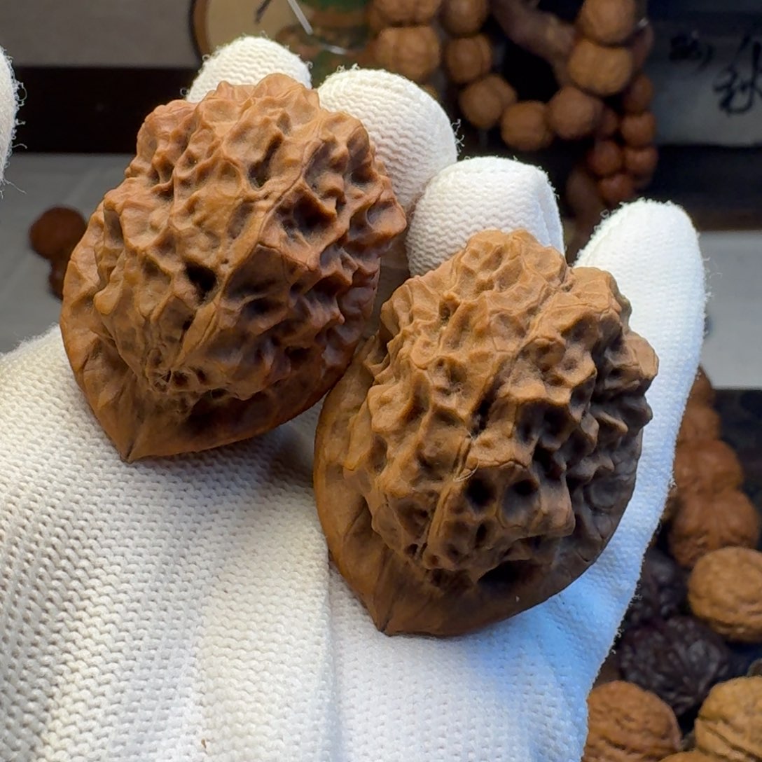 文玩核桃把件毒蟾37.4