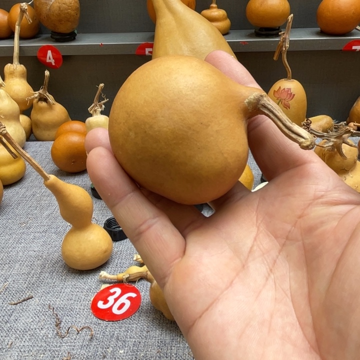o***宝葫芦头的做法是用来做的吗