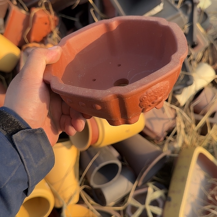 你要吃好了我才给他们打了两天