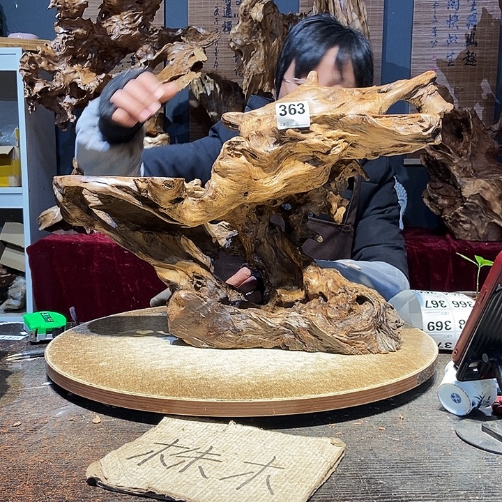 F***陈363。株木随行根艺