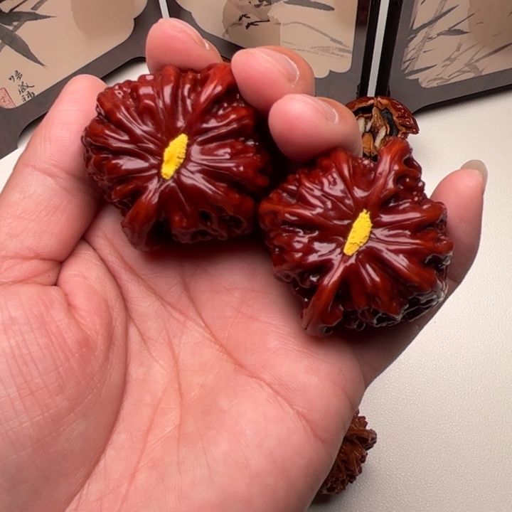 憨***冷43尺 白狮子 全品